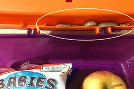 Chuyện lạ hôm nay: Mở hộp cơm, mẹ điếng người với sinh vật này 