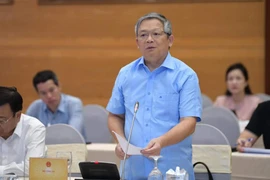 Thông tin mới nhất về vụ bắt bà Nguyễn Thị Như Loan - CEO Quốc Cường Gia Lai 