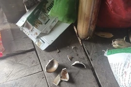 Chuyên gia cảnh báo về động đất liên tiếp ở Kon Tum 