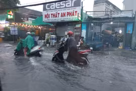 TPHCM: Công tác chống ngập mới chỉ nhỏ lẻ, chưa có tầm nhìn dài hơi