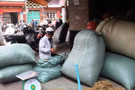 Con đường thuốc đông y lớn nhất Việt Nam