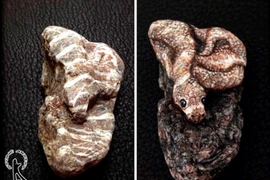 Đá vô tri được thổi hồn thành động vật sống động