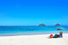 Nhìn bãi cát trắng tuyệt đẹp ai cũng mê, nhưng sự thật sững sờ...