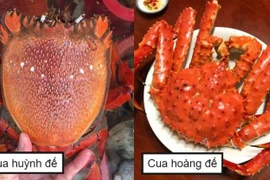 Chủ cửa hàng tiết lộ bí mật không ngờ về cua hoàng đế 