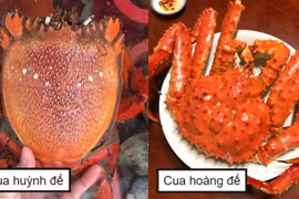 Chủ cửa hàng tiết lộ bí mật không ngờ về cua hoàng đế 