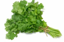 Loại rau gia vị tưởng chỉ tạo mùi thơm không ngờ giúp thải độc