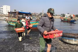 Thuyền ra khơi trúng đậm, đội bốc vác thuê tất bật đầu năm