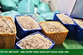 Hơn 9 tấn thực phẩm không rõ nguồn gốc trong kho cty thực phẩm