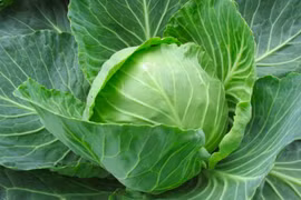 7 loại rau giàu canxi gấp nhiều lần nước xương, cao hơn cả sữa 