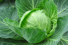 7 loại rau giàu canxi gấp nhiều lần nước xương, cao hơn cả sữa 