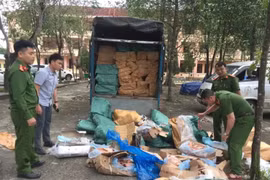 Vận chuyển gần 6 tấn nội tạng động vật để lấy 3 triệu tiền công