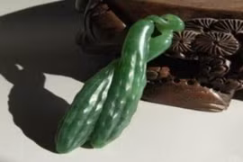 Lên núi đào được dưa chuột đá, nhỏ như ngón tay giá tiền tỷ