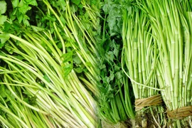 Mùa lạnh, người hay ăn rau cần nhất định phải biết điều này