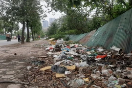 Hà Nội: Nhiều tuyến phố ở quận Hà Đông ngập ngụa rác thải