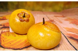 Những mẫu bánh trung thu lạ mắt hút khách nhất 2018