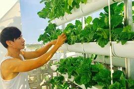 Những vườn rau thủy canh "khủng" trên sân thượng nhà sao Việt