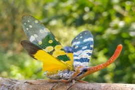 Kinh ngạc 12 động vật độc dị nhất Việt Nam