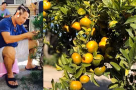 Khu vườn Bằng Kiều có gì khiến fan mê mệt?