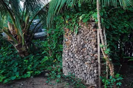 Xin ngủ lại một đêm xong trộm sạch tài sản của bạn