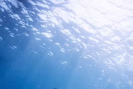 Mướt mắt hình ảnh nữ streamer Việt lặn biển cực đẹp