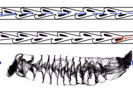 Phát minh Van Tesl bỗng có khả năng ứng dụng sau hơn 100 năm