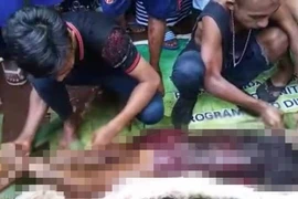 Mổ bụng “quái thú” phồng lên bất thường, rụng rời vì thứ bên trong