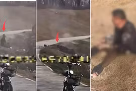 Vung cần câu cá, người đàn ông hét lên ngã quỵ vì...