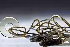 Chuyên gia hoảng hồn tìm thấy vật thể “xuyên không” trong mộ cổ