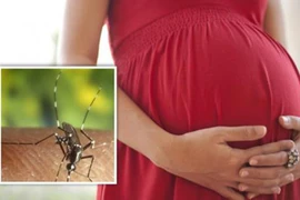 Phát hiện 83 người ở TP HCM nhiễm Zika