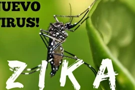 Bé 4 tháng tuổi ở Đắk Lắk nghi mắc chứng đầu nhỏ do Zika