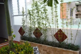 Cách trồng cây trước nhà đúng phong thủy