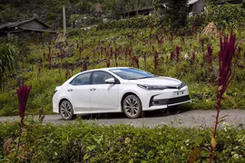 Vắng xe nhập, Toyota vẫn tăng trưởng nhờ xe lắp ráp