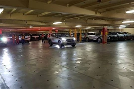 Hàng nghìn xe ôtô nhập khẩu miễn thuế về đến VN