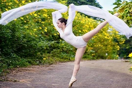 Tuyển tập gái xinh bên hoa dã quỳ khiến dân tình xao xuyến