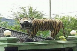 Dân mạng lại cười té ghế với những bức tượng đá "ăn hại"