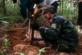 Gia chủ phát hiện 3 quả bom trong vườn nhà khi làm vườn