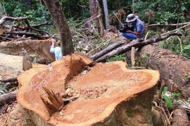 Chặn xe tuần tra gây sự với cán bộ kiểm lâm 