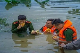 Hình ảnh thấm đượm tình người trong mùa mưa lũ