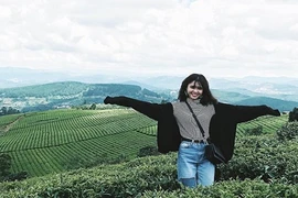 Đồi chè Gia Lai trở thành "góc sống ảo" mới cực hot