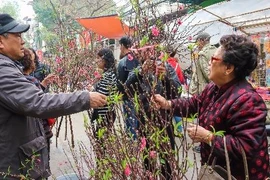 Ảnh: Người dân Hà Nội tranh thủ dạo phố, xin chữ trước thềm năm mới