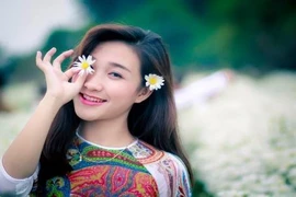 Đua nhau khoe ảnh Hà Nội đẹp nhất mùa cúc họa mi