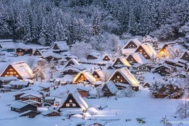 Giới trẻ thích thú với ngôi làng cổ toàn tuyết ở Nhật Bản