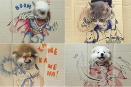  Thú cưng may mắn khi được chủ thay đổi hình tượng liên tục