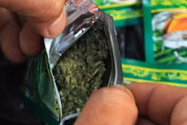 Cỏ Mỹ được mua bán dễ dàng tại các quán cà phê