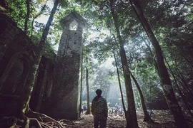 Núi Ba Vì chưa bao giờ thiếu góc "sống ảo" cho giới trẻ