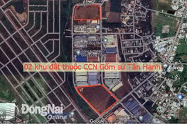 Đồng Nai đấu giá 2 khu đất ở CCN Tân Hạnh giá khởi điểm hơn 113 tỷ 