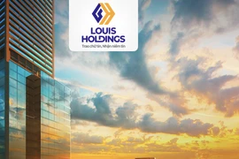 Cổ phiếu vọt 400% trong 3 tháng, Bidico đổi tên thành Louis Holdings