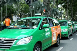 Mai Linh lỗ tiếp 173 tỷ năm 2020, khiến lỗ luỹ kế sắp 'ngốn' hết vốn chủ sở hữu