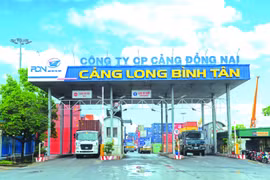 Cảng Đồng Nai sắp chi 28 tỷ đồng tạm ứng cổ tức tỷ lệ 15%