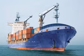 VIMC lý giải vì sao lỗ nặng 324 tỷ trong năm 2020